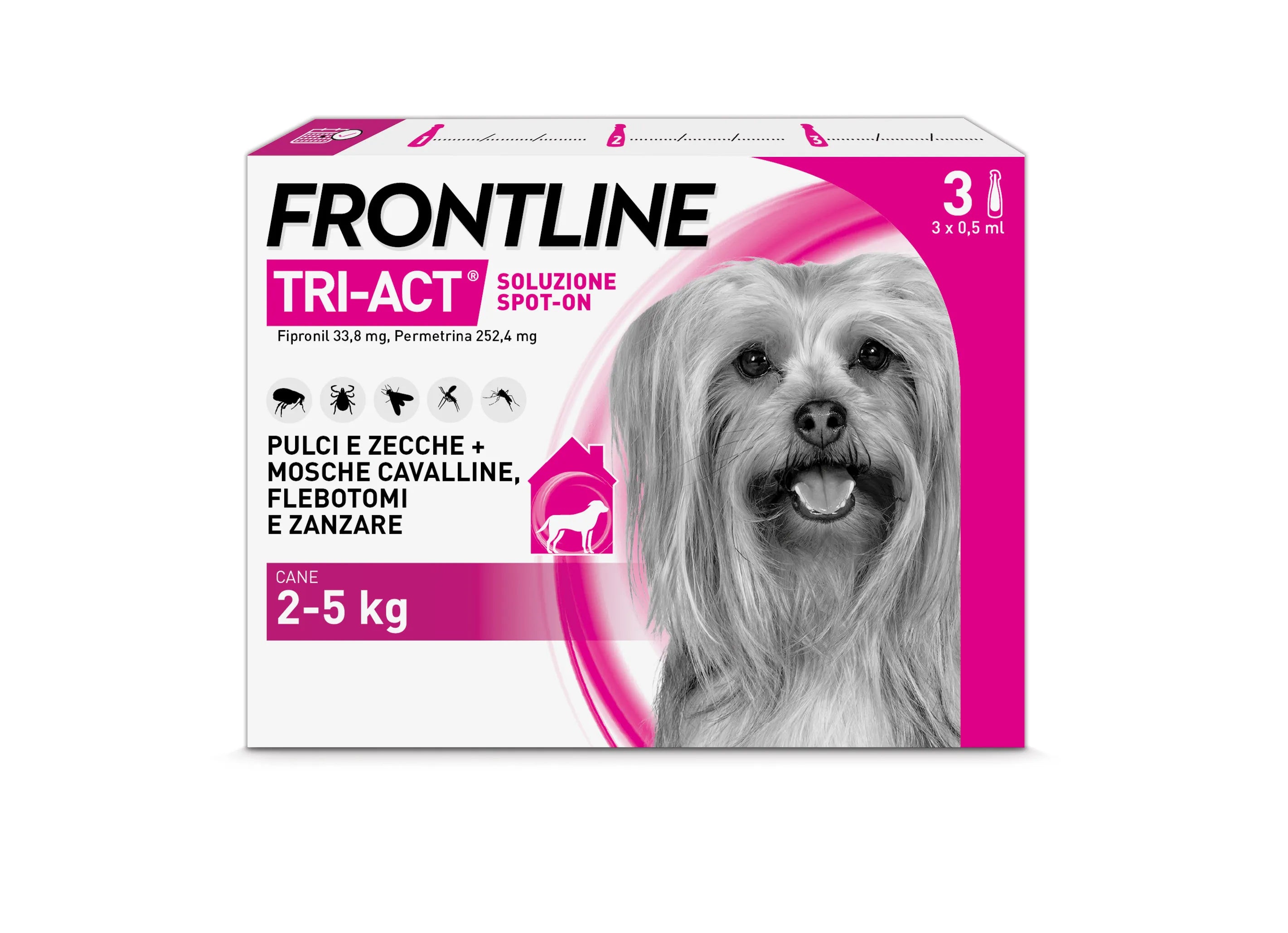 Frontline tri-act cane