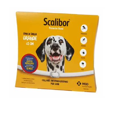 Scalibur cane