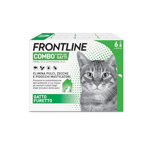 Frontline gatto