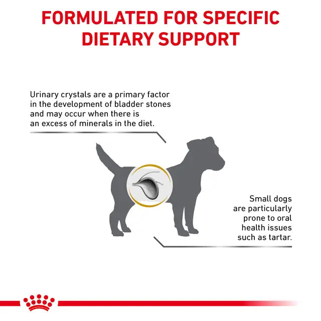 Royal Canin Urinary S/O Cane small