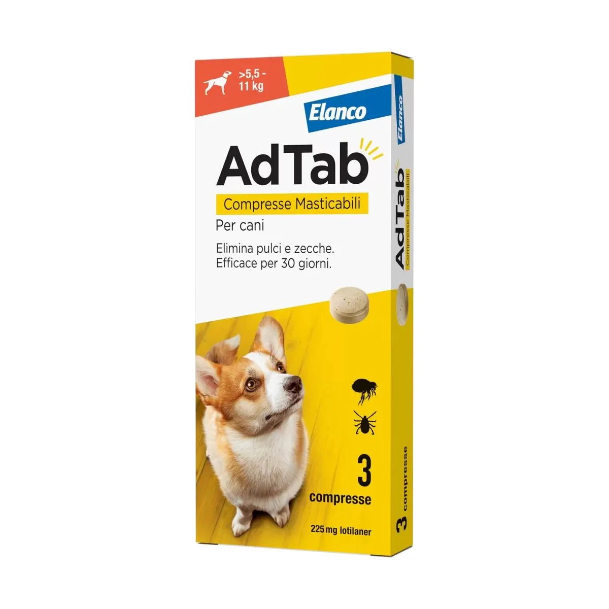 ADTAB  Cane