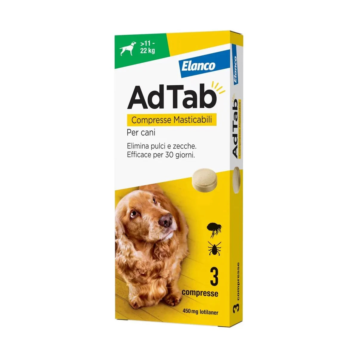ADTAB  Cane