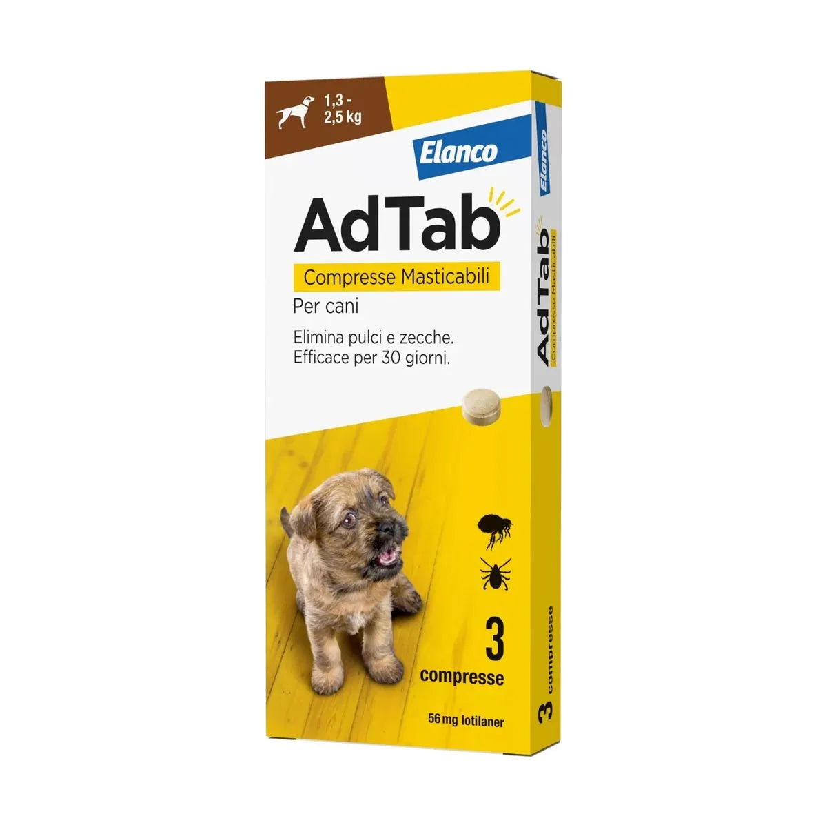 ADTAB  Cane