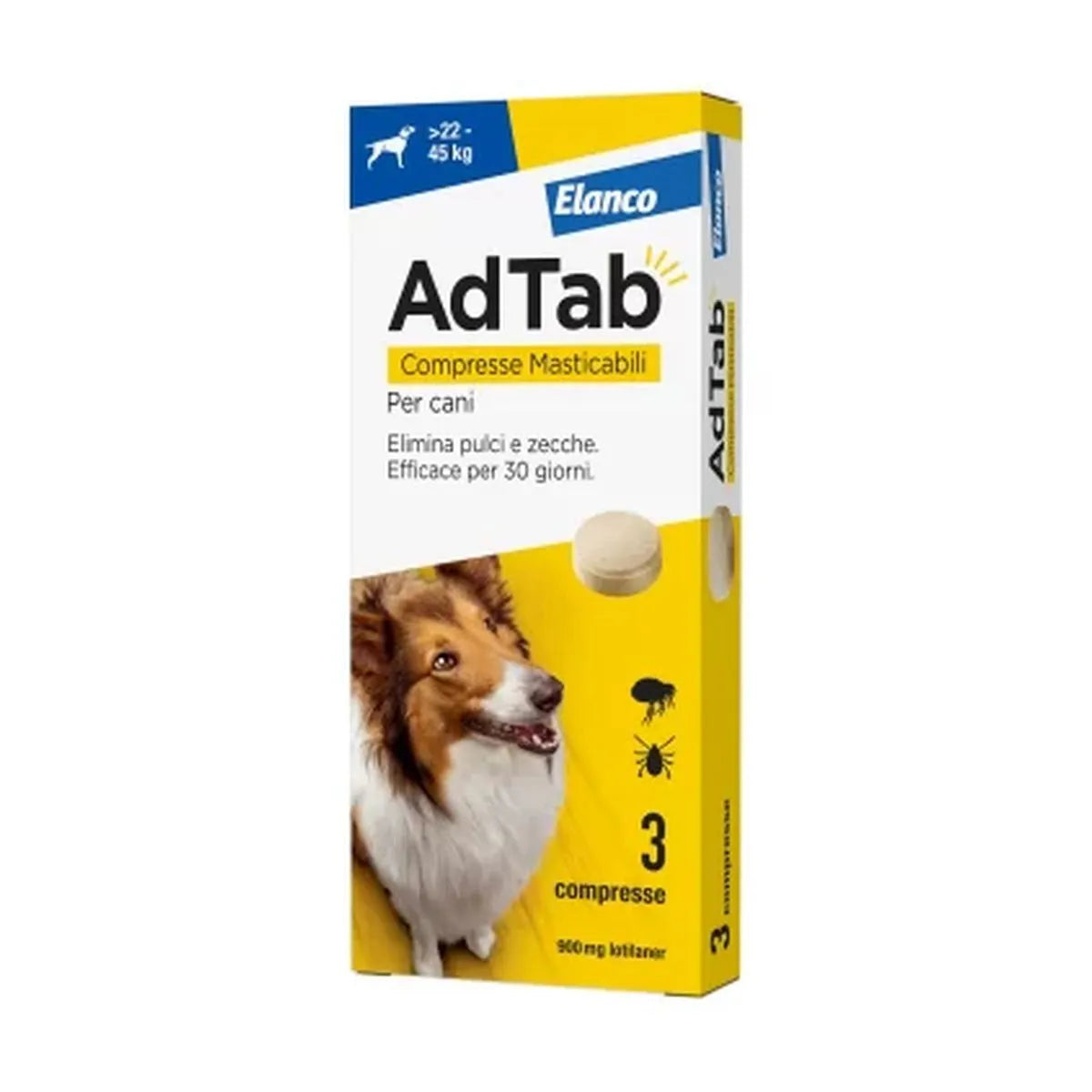 ADTAB  Cane