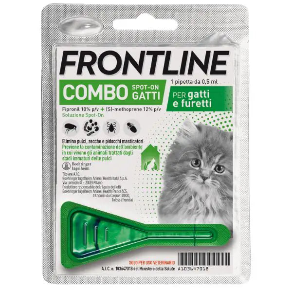 Frontline gatto
