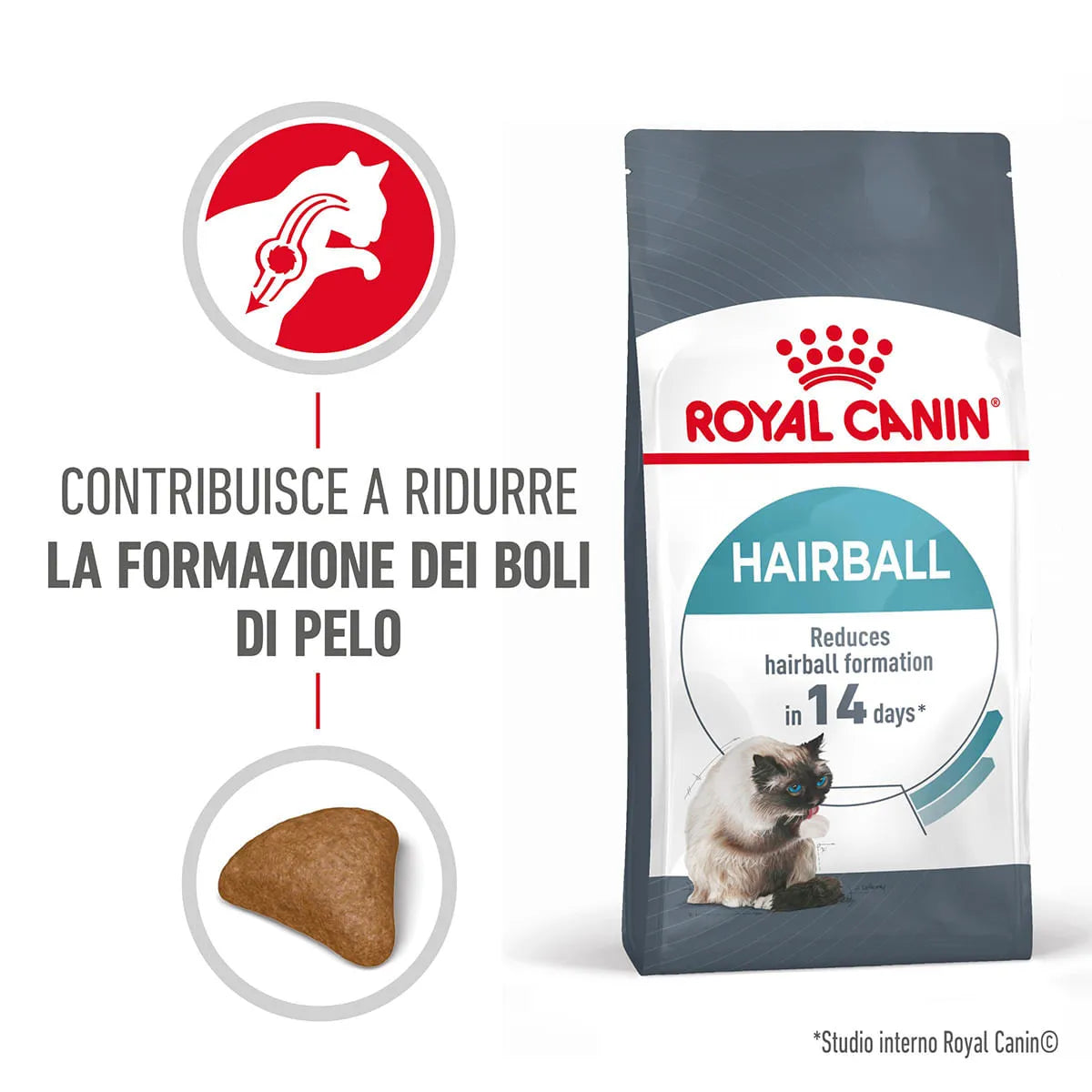 Royal Canin Hairball Gatto