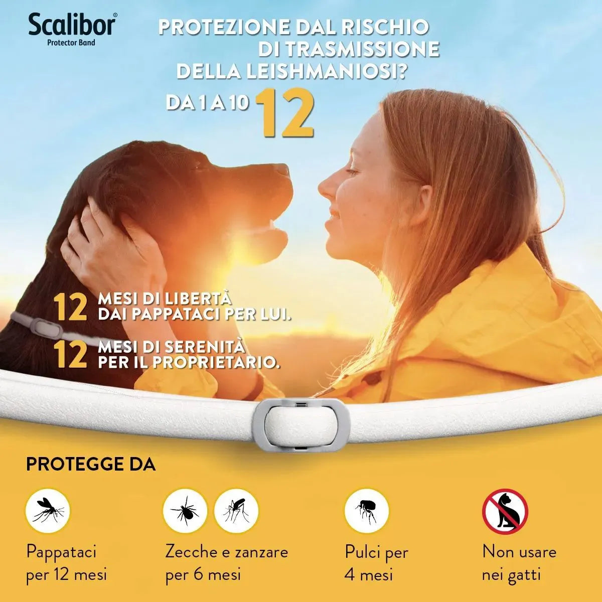 Scalibur cane