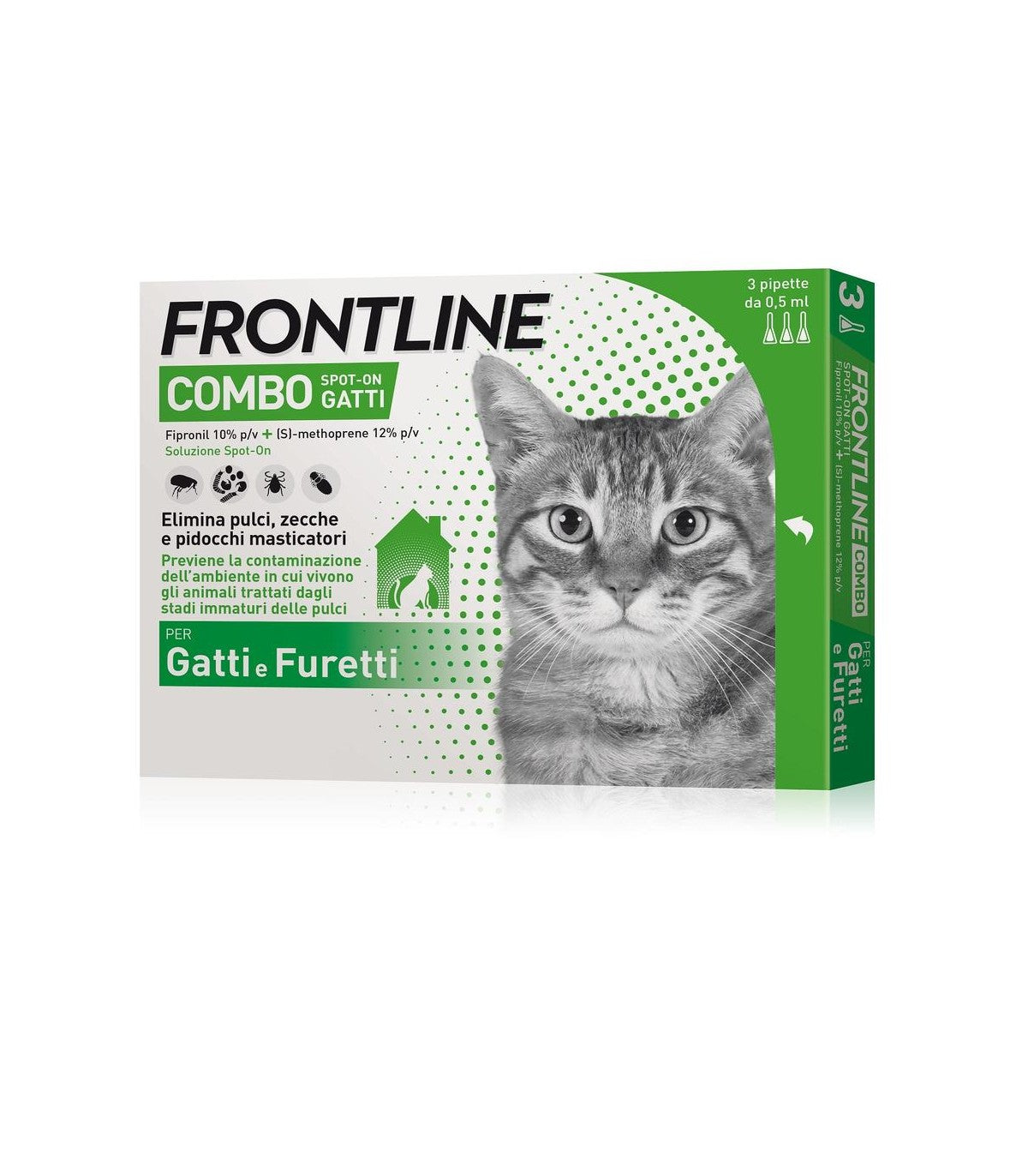 Frontline gatto