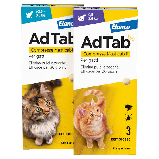 ADTAB  Gatti