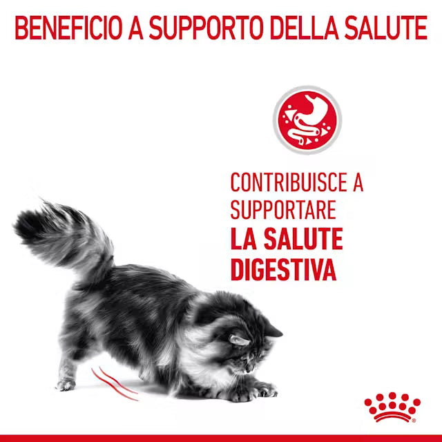 Royal Canin digestive care Gatto