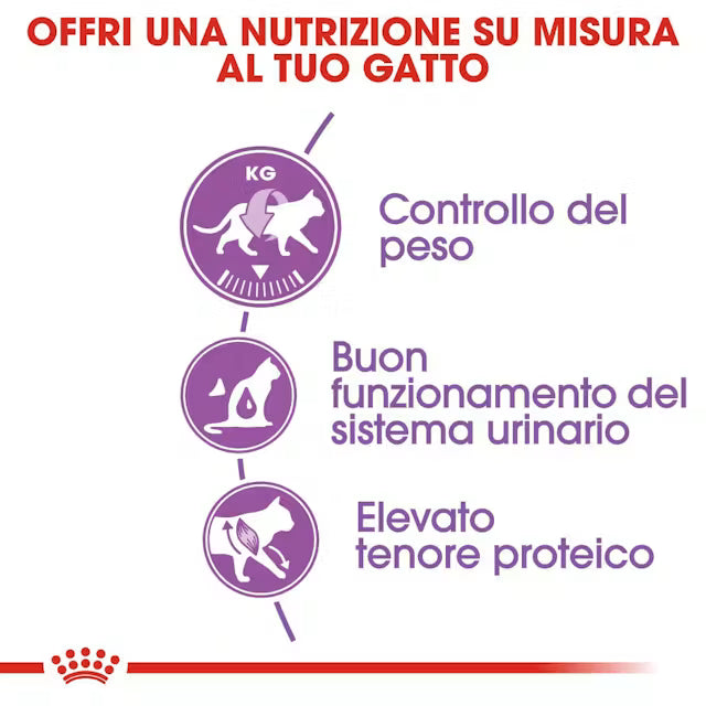 Royal Canin Sterilizato Gatto