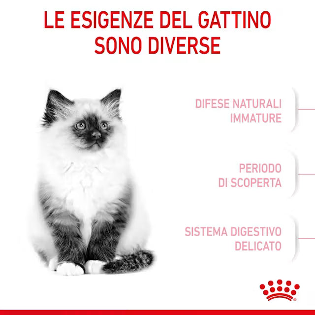 Royal Canin Kitten