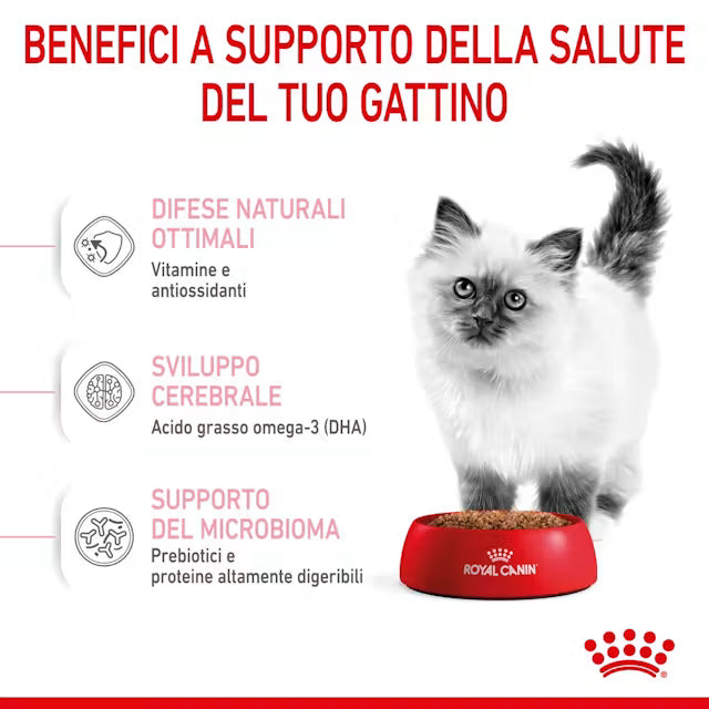 Royal Canin Kitten