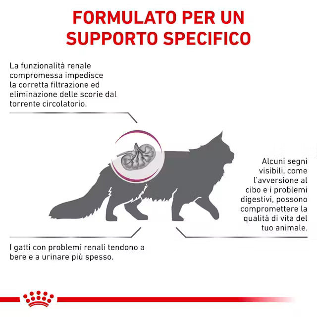 Royal Canin Renal S/O Gatto