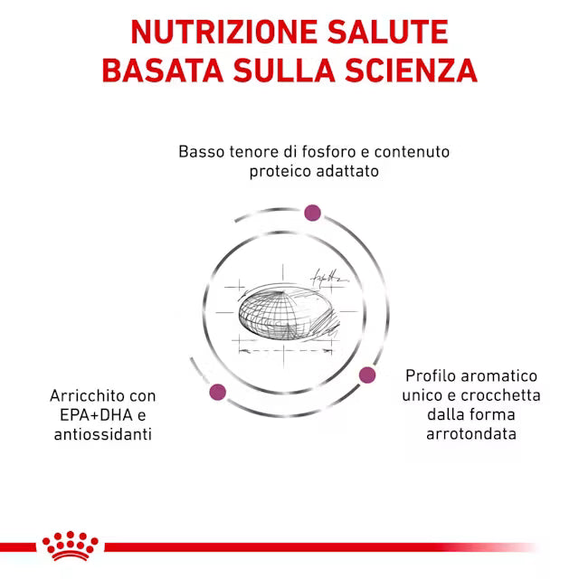 Royal Canin Renal S/O Gatto