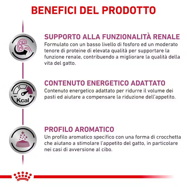 Royal Canin Renal S/O Gatto