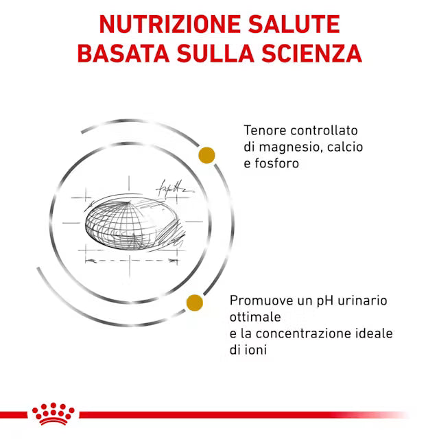Royal Canin Urinary S/O Gatto