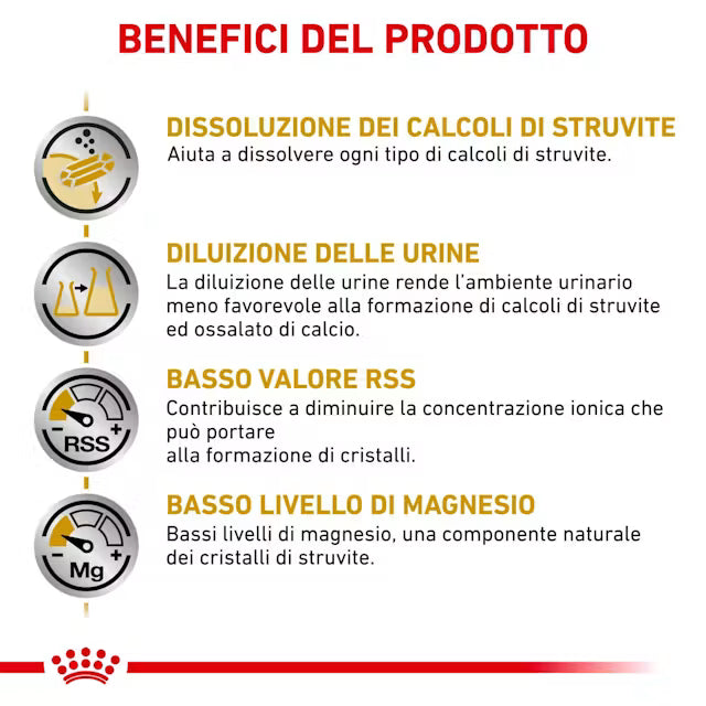 Royal Canin Urinary S/O Gatto