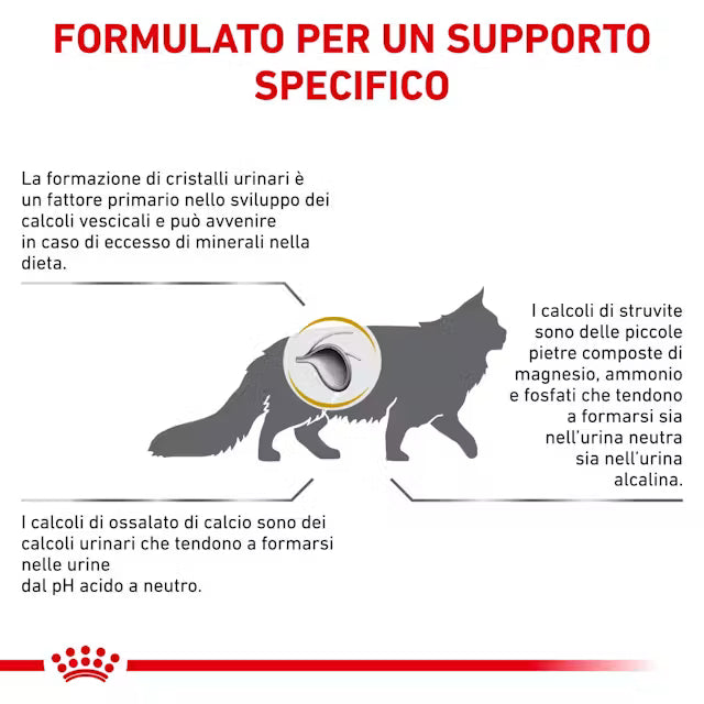 Royal Canin Urinary S/O Gatto