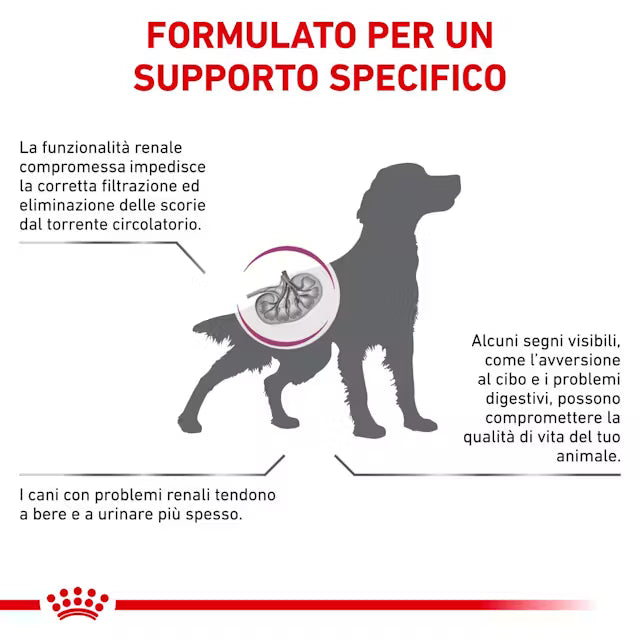 Royal Canin Renal S/O cane