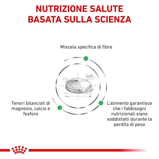 Royal Canin Satiety Cane small