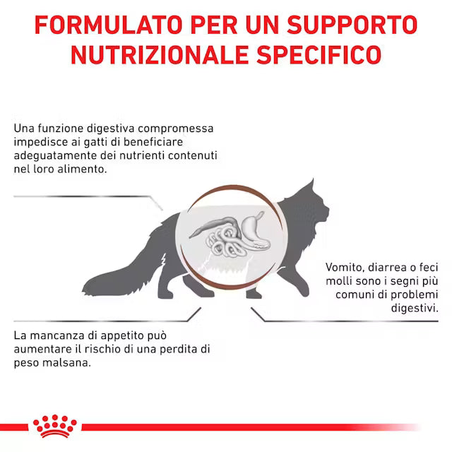 Royal Canin Gastrointestinal Gatto