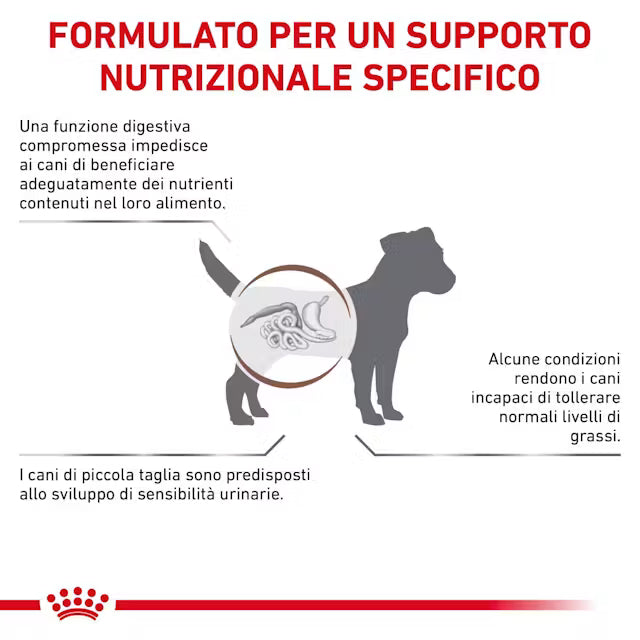 Royal Canin Gastrointestinal Cane small low fat
