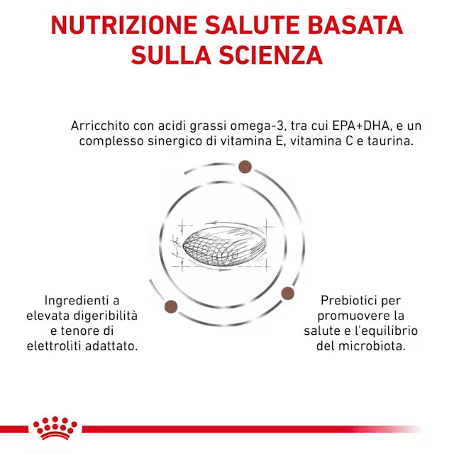 Royal Canin Gastrointestinal Cane small low fat