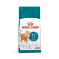 Royal Canin Agent +11 Gatto