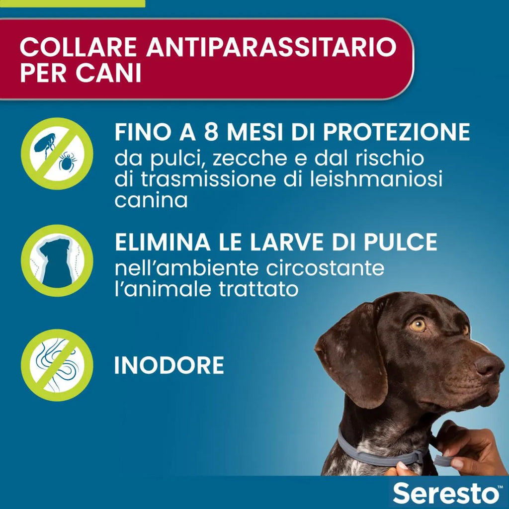 Seresto cane