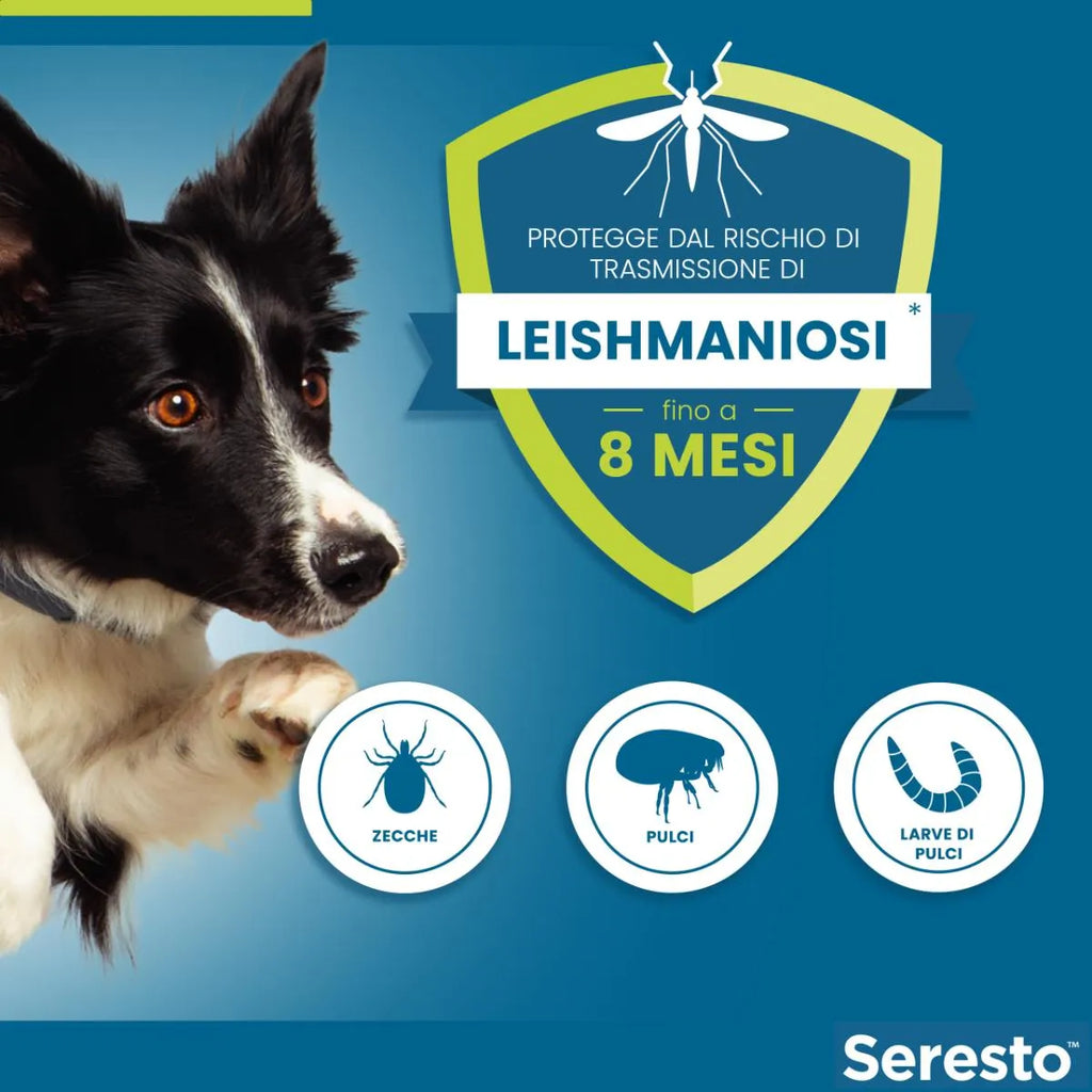 Seresto cane